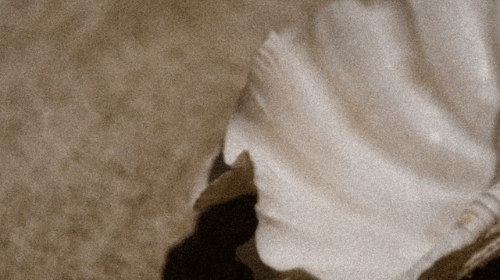 Preparing for Pregnancy: The Overlooked Role of the Vaginal Microbiome