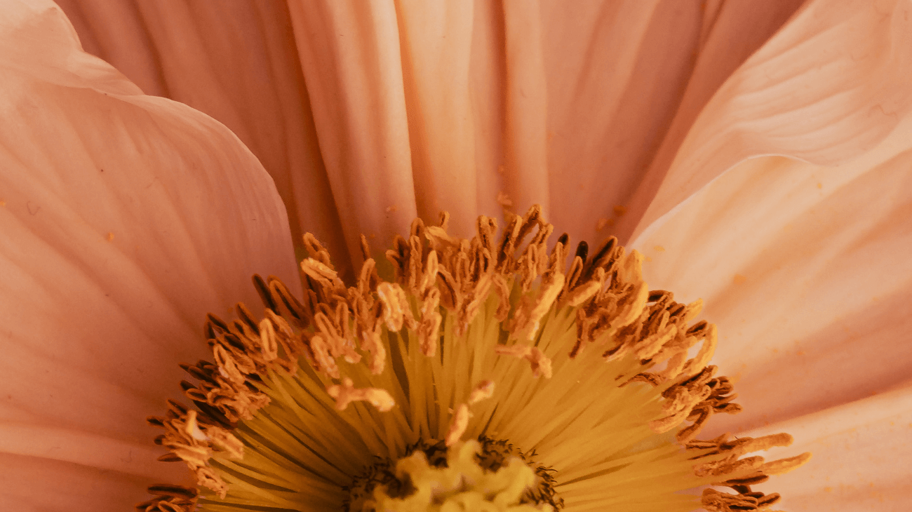 We Asked, You Answered: Survey Insights & What’s Coming to Pinc Wellness in 2025