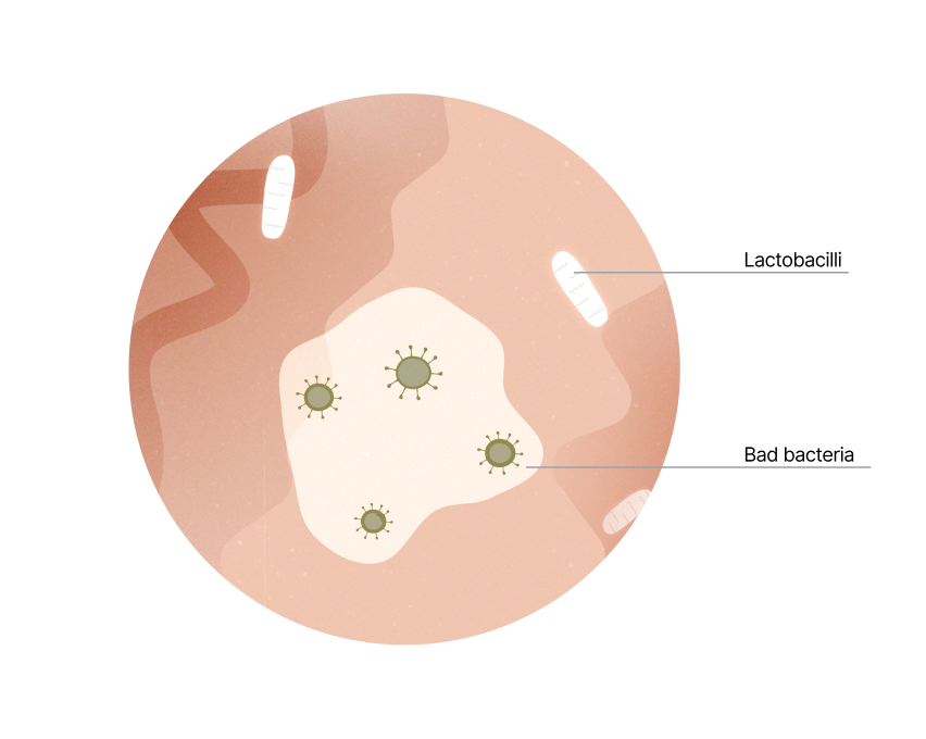 Feminine health education diagram container