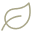 Eco-friendly leaf icon design