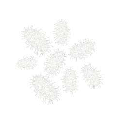 Thriving good bacteria visual graphic