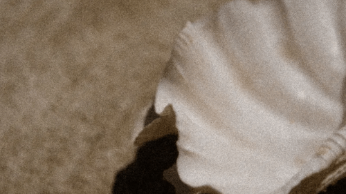 Preparing for Pregnancy: The Overlooked Role of the Vaginal Microbiome