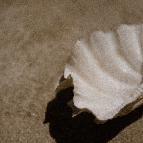 Preparing for Pregnancy: The Overlooked Role of the Vaginal Microbiome