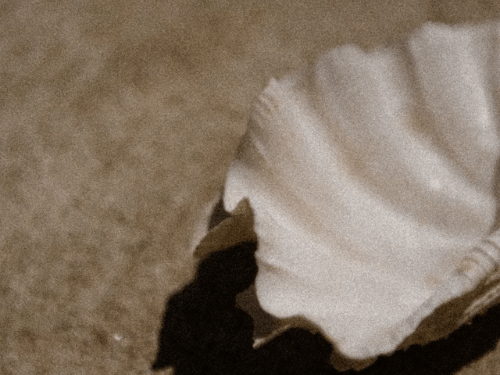 Preparing for Pregnancy: The Overlooked Role of the Vaginal Microbiome