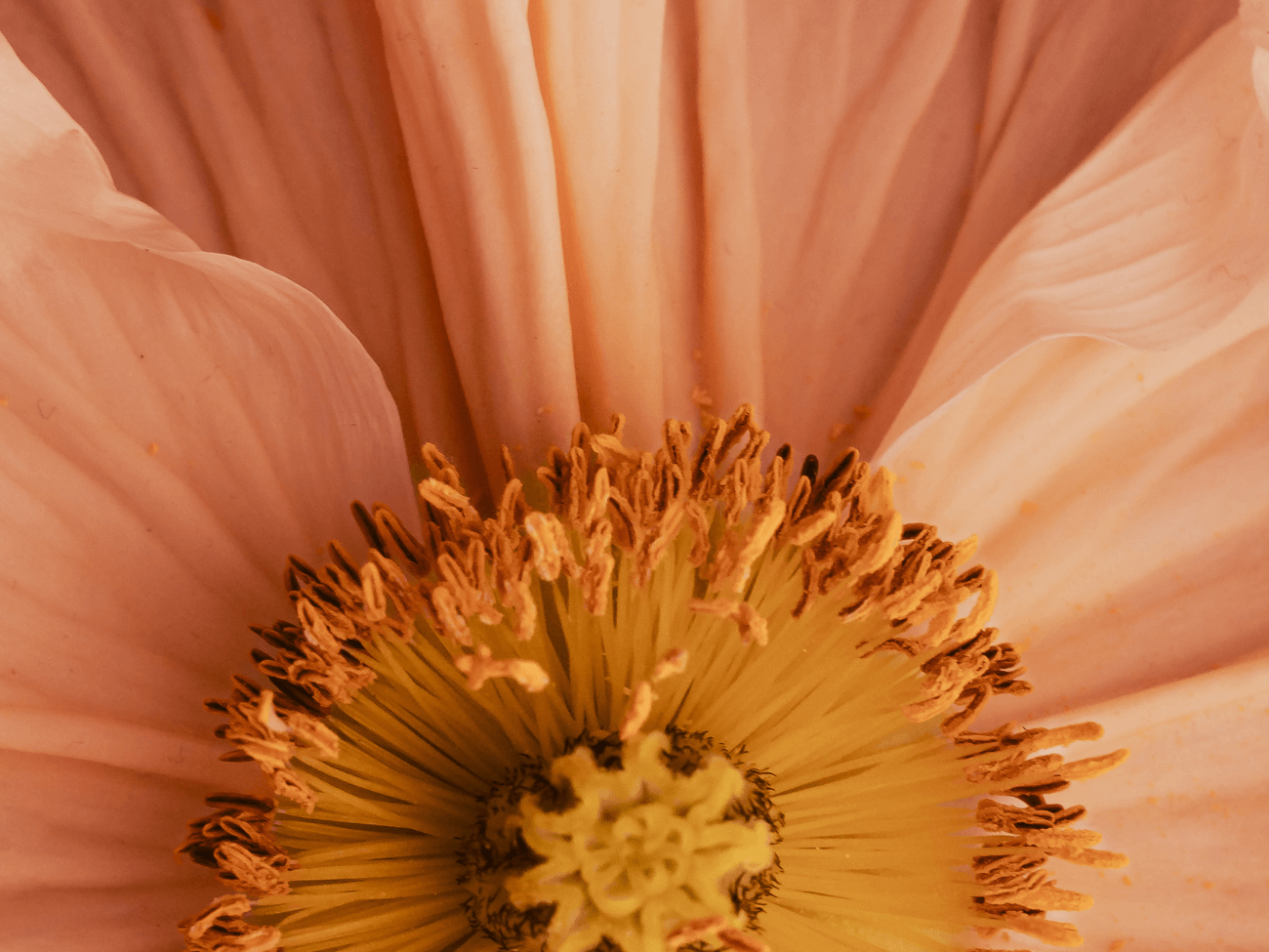 We Asked, You Answered: Survey Insights & What’s Coming to Pinc Wellness in 2025