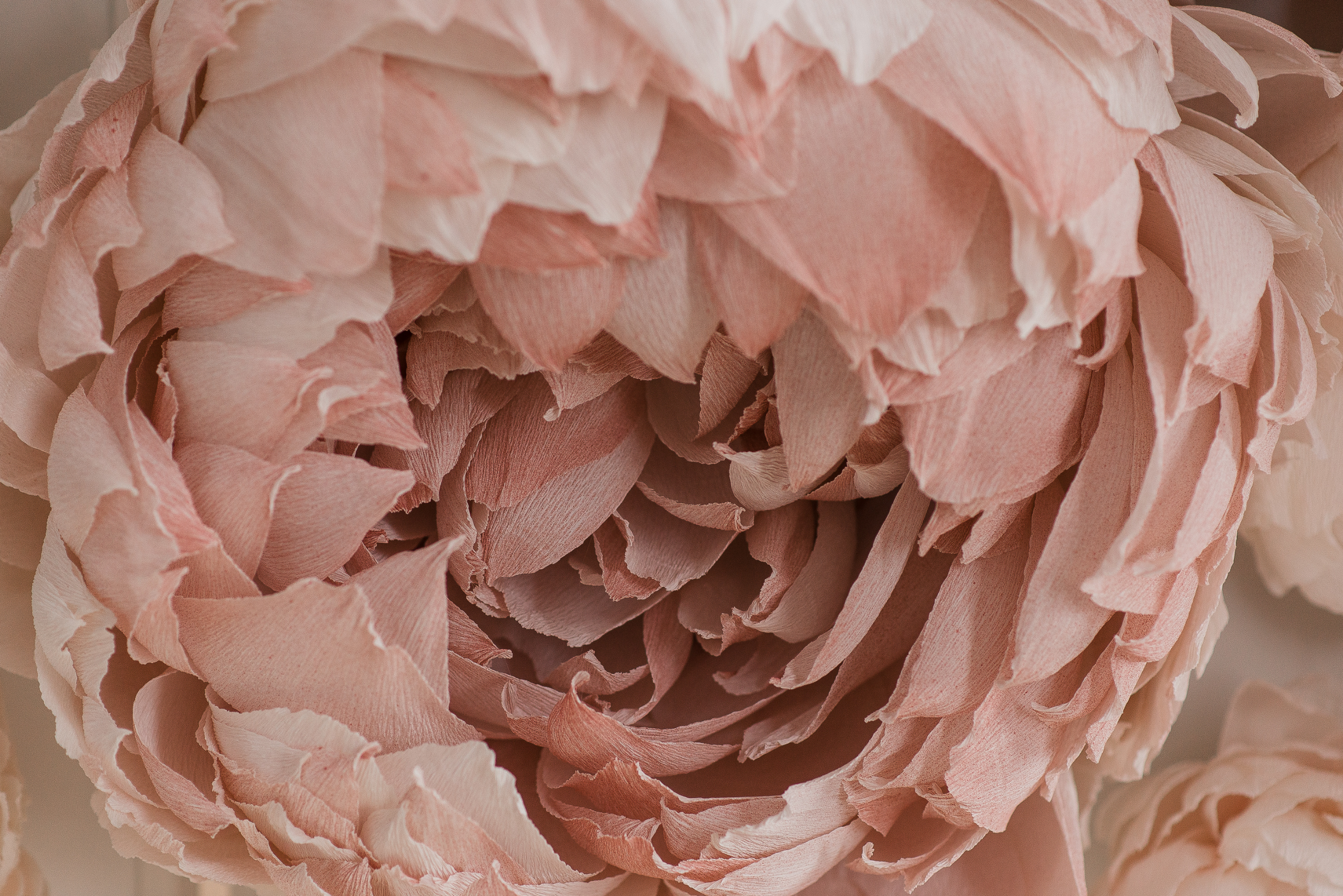 Signs Your Vaginal Flora Might Be Out of Balance