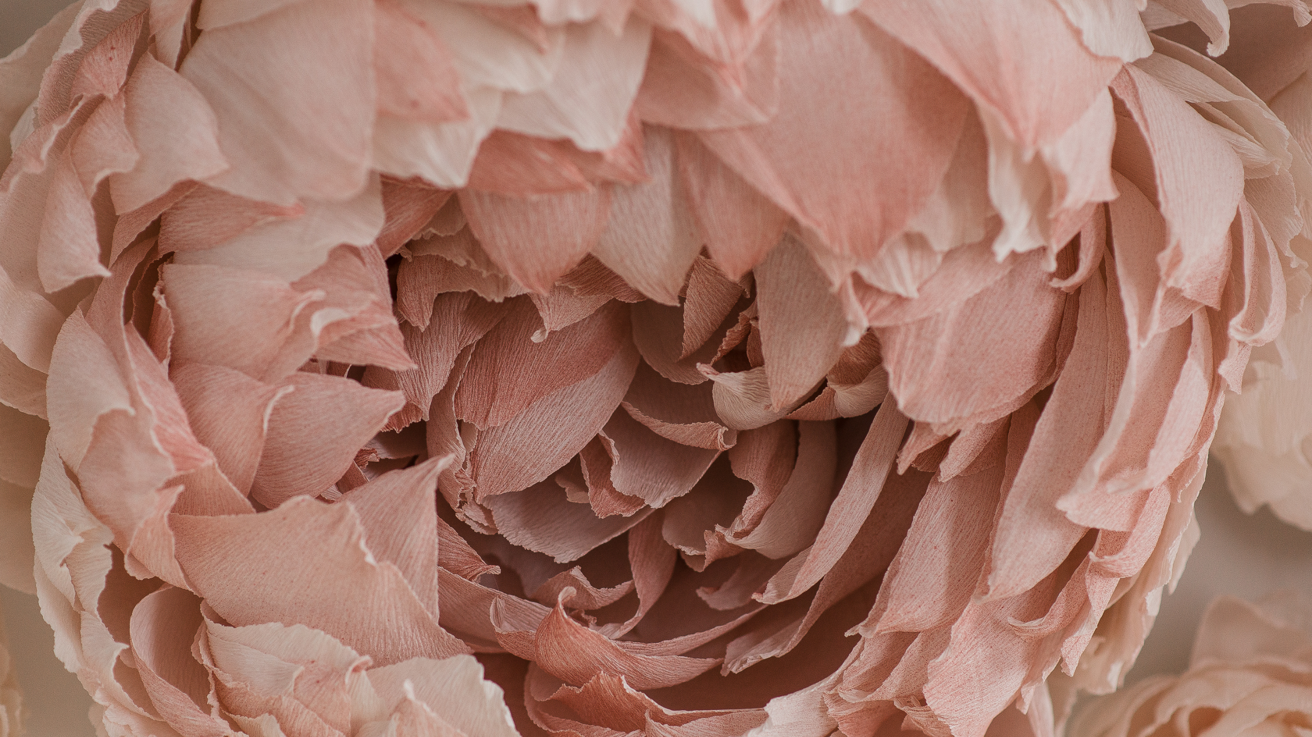 Signs Your Vaginal Flora Might Be Out of Balance