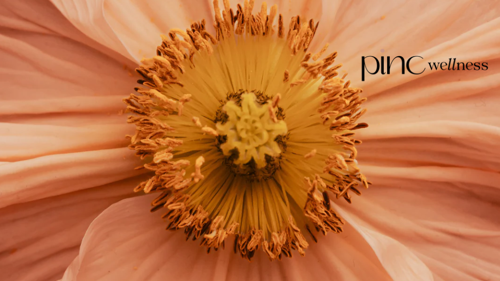 What Is Pinc Wellness? Natural Vaginal Health Support for BV and Thrush