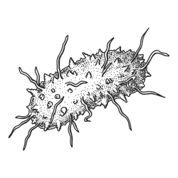 Bad bacteria causing vaginal issues illustration