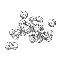 pH levels in vaginal health illustration